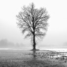 Winter Thaw